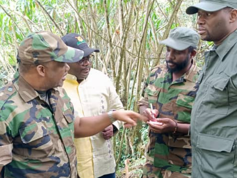 Corneille Nangaa Rutshuru